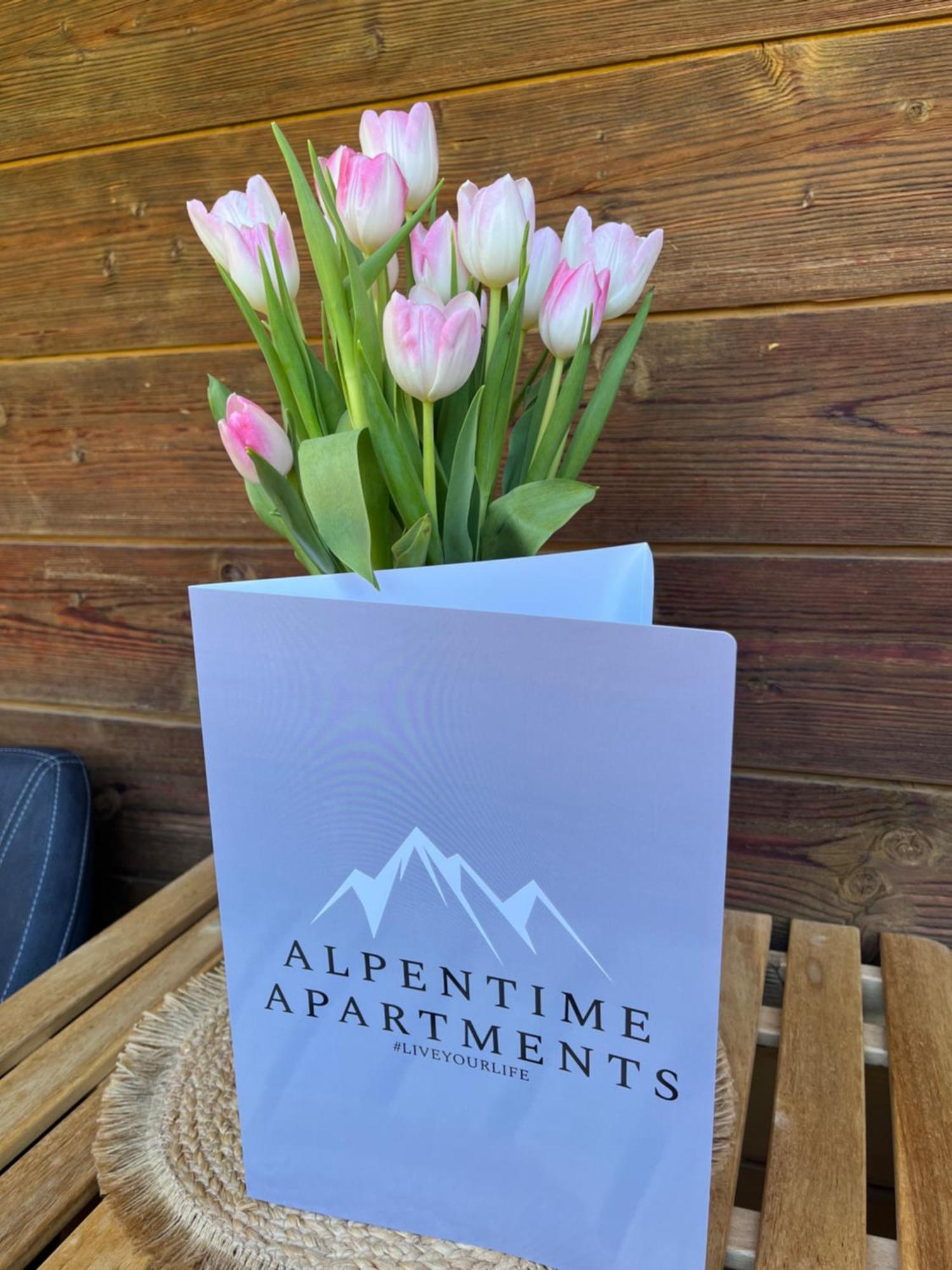 Alpentime Apartments Нойщифт им Щубайтал Екстериор снимка